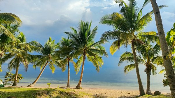 Ultimate Guide to Finding the Perfect Holiday Rental in the Yorkshire Dales for Sheepdog Trial Lovers