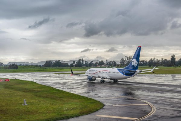 Unveiling brighton"s best vegan brunch spots: a connoisseur"s ultimate guide